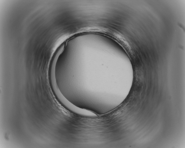 X0000094951328200712271649