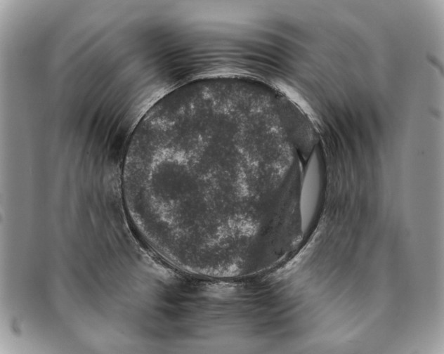 X0000094951329200712271649