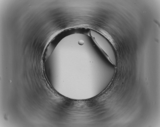 X0000094951332200712271649