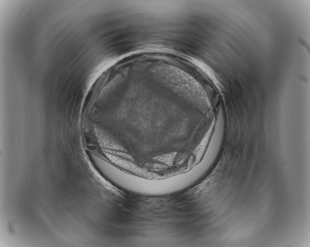 X0000094951335200712271649