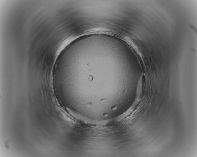 X0000094951336200712271649