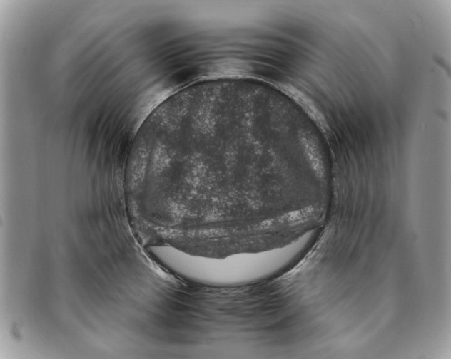 X0000094951337200712271649