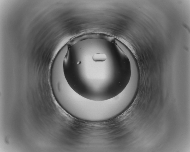 X0000094951342200712271649