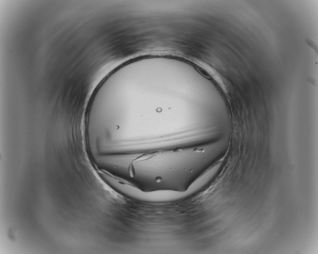 X0000094951343200712271649