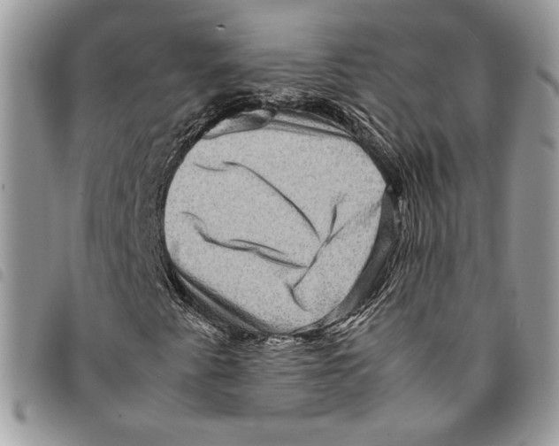 X0000094951345200712271649