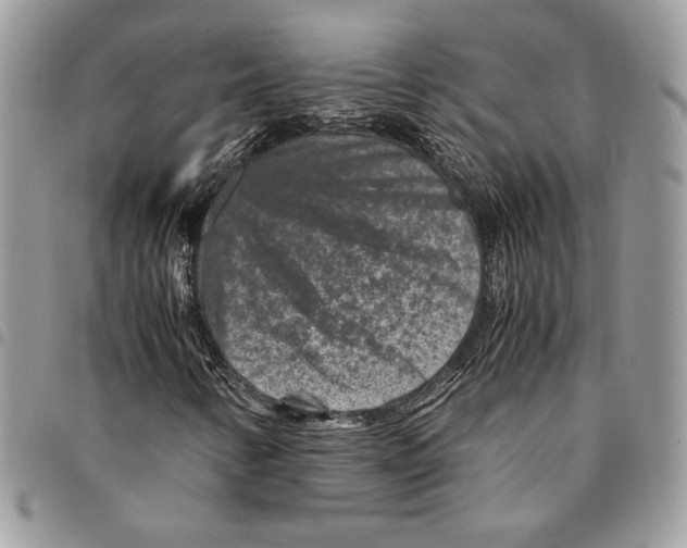 X0000094951346200712271649