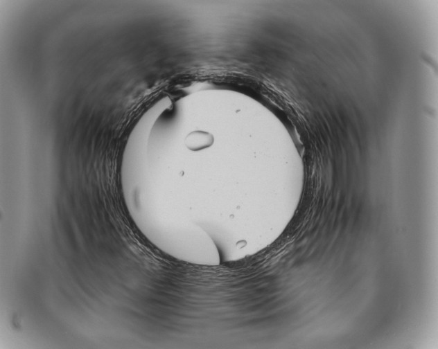 X0000094951348200712271648