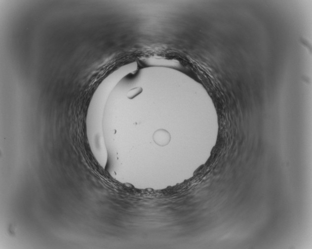 X0000094951349200712271648