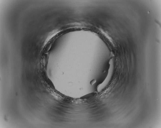 X0000094951352200712271648