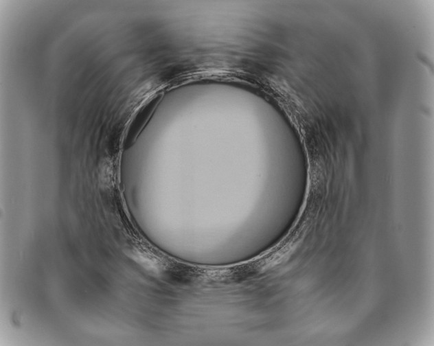 X0000094951353200712271648