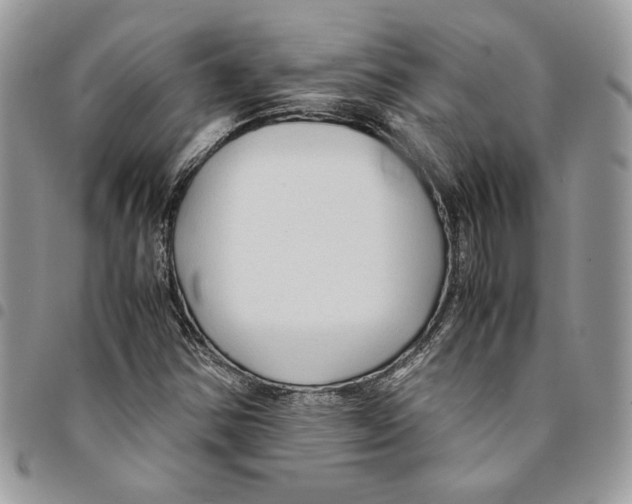 X0000094951354200712271648