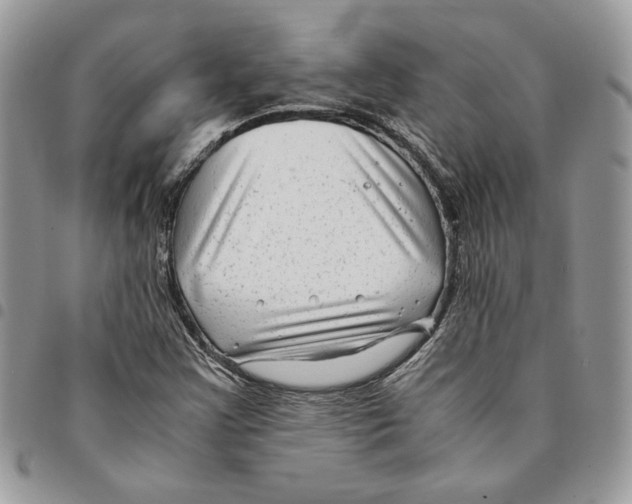 X0000094951355200712271648