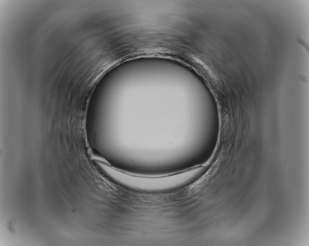 X0000094951361200712271648