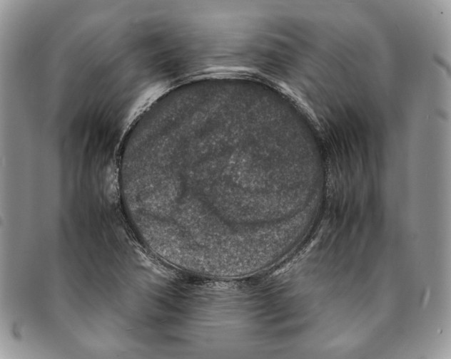 X0000094951362200712271648