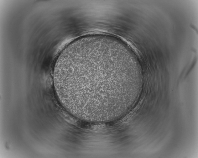 X0000094951363200712271648