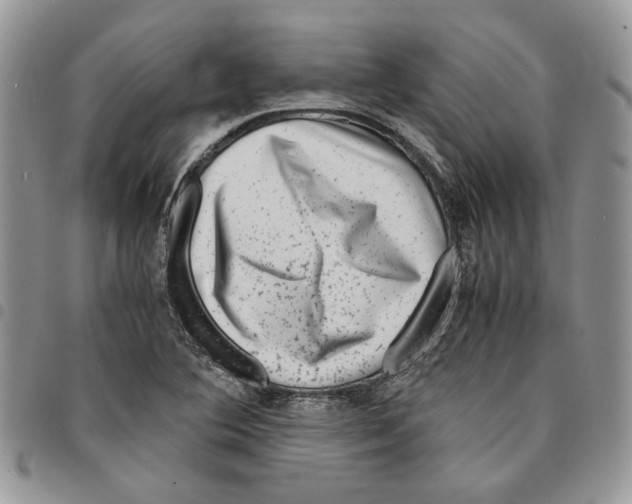 X0000094951364200712271648