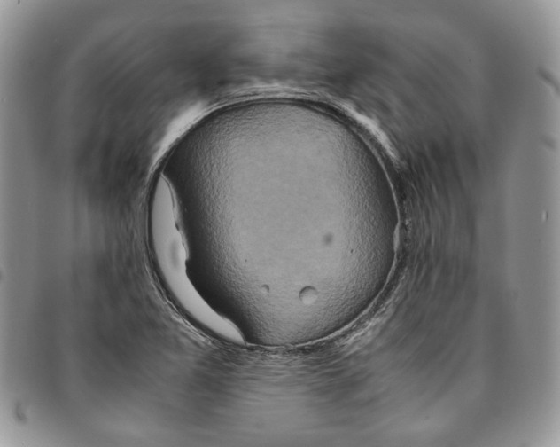 X0000094951365200712271648