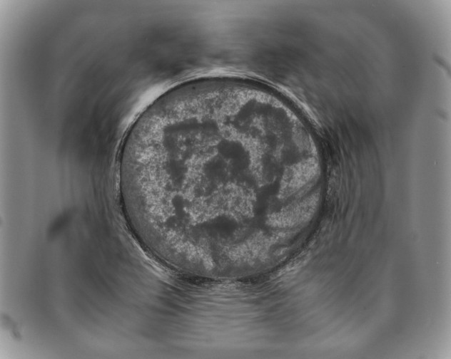 X0000094951367200712271648