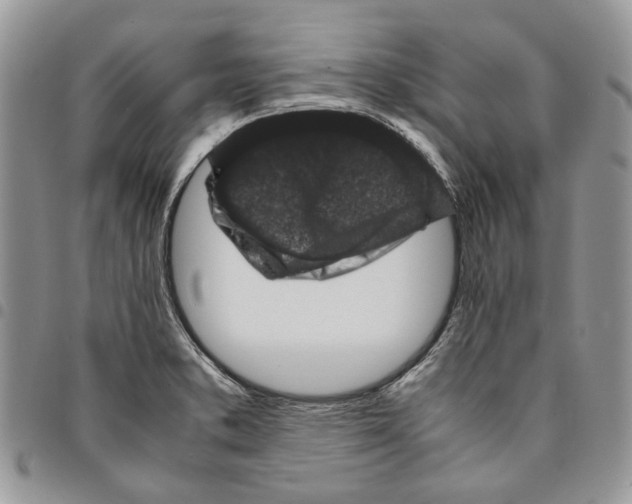 X0000094951373200712271648