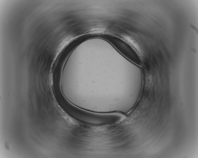 X0000094951376200712271648