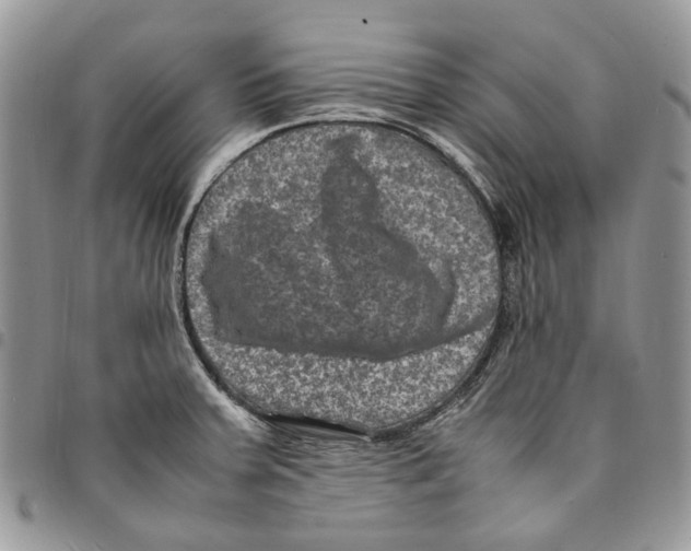 X0000094951379200712271648