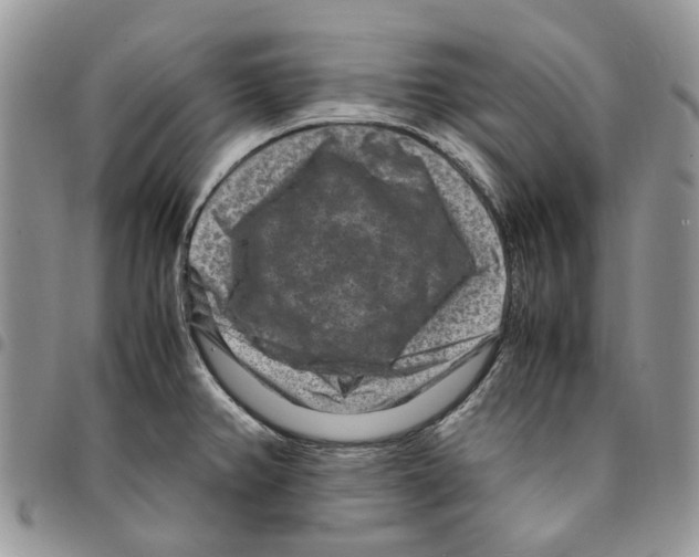 X0000094951382200712271648