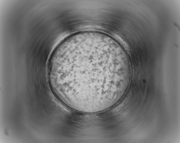 X0000094951384200712271648