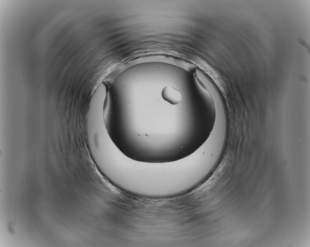 X0000094951385200712271648