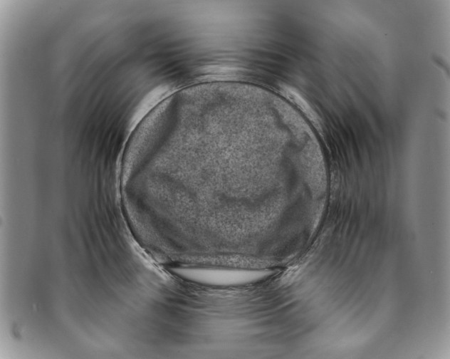 X0000094951386200712271648