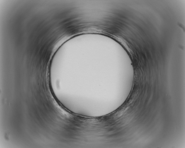 X0000094951387200712271648