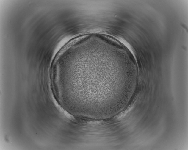 X0000094951389200712271648