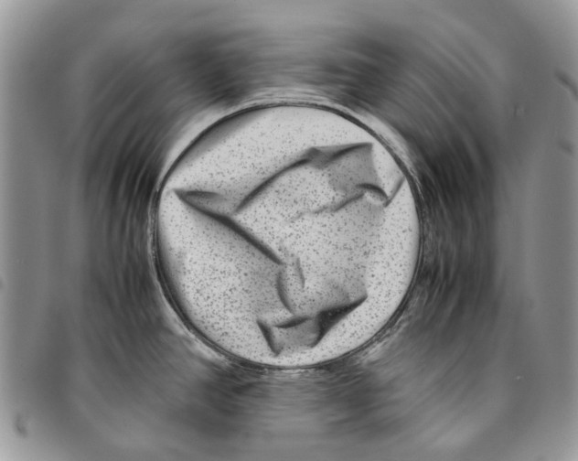 X0000094951390200712271648