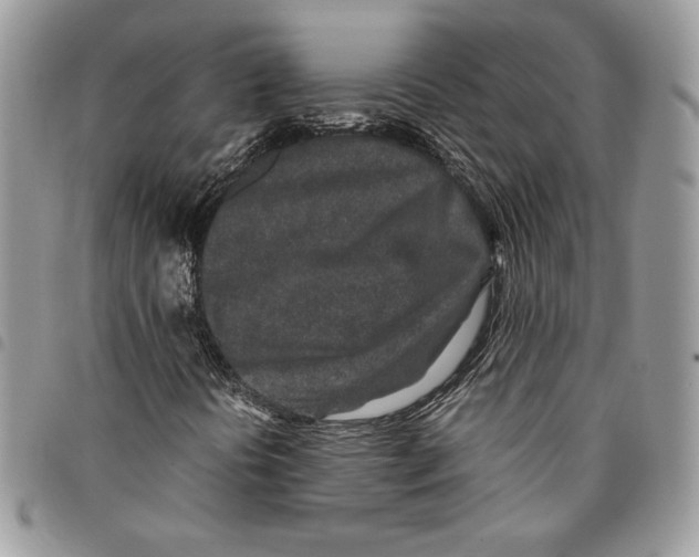 X0000094951394200712271647