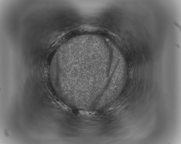 X0000094951397200712271647