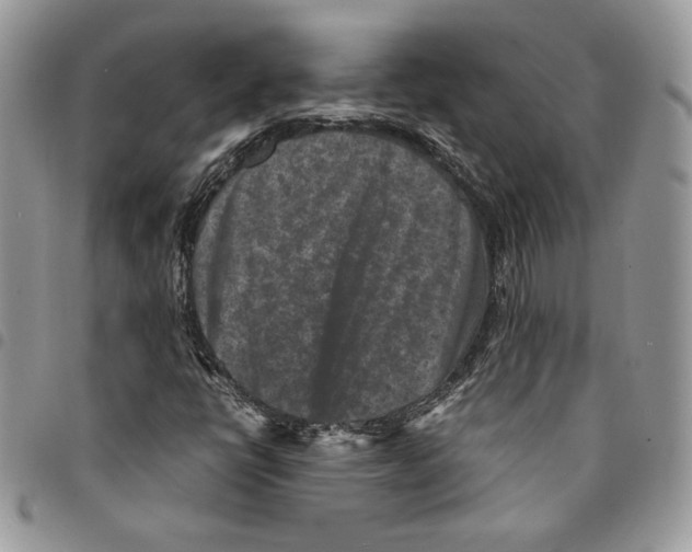 X0000094951398200712271647