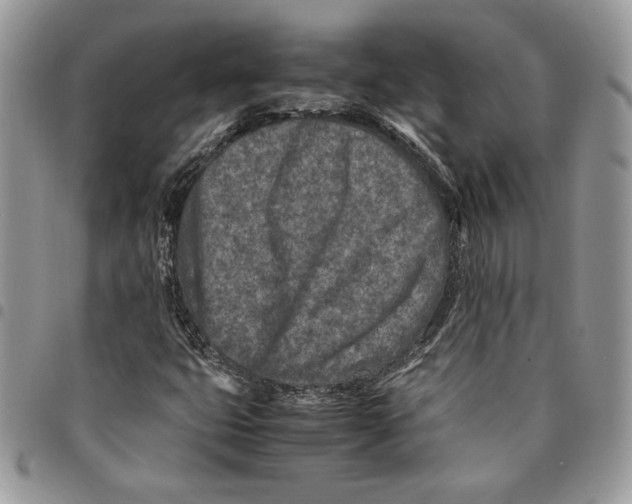 X0000094951399200712271647