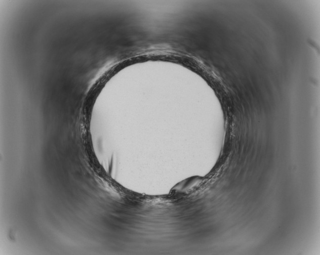 X0000094951400200712271647