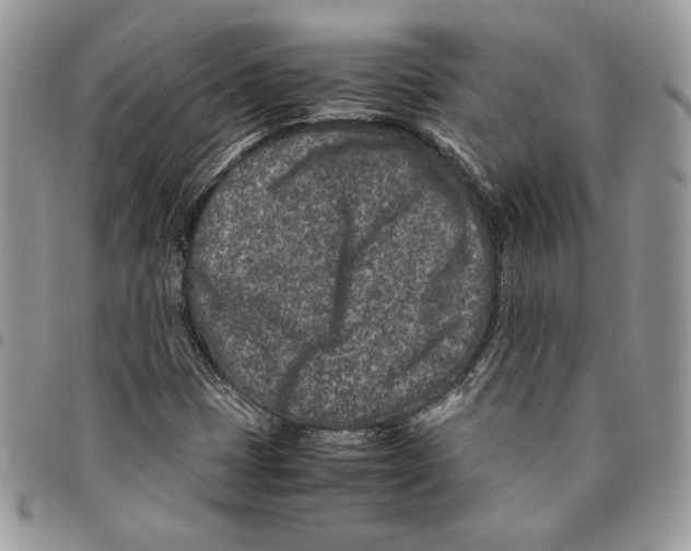 X0000094951401200712271647