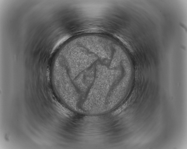 X0000094951402200712271647