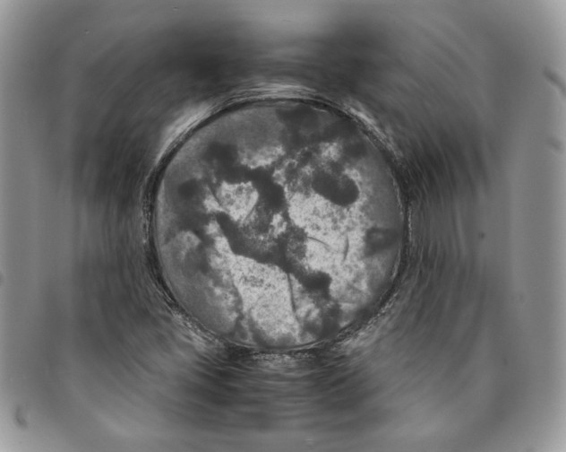 X0000094951405200712271647