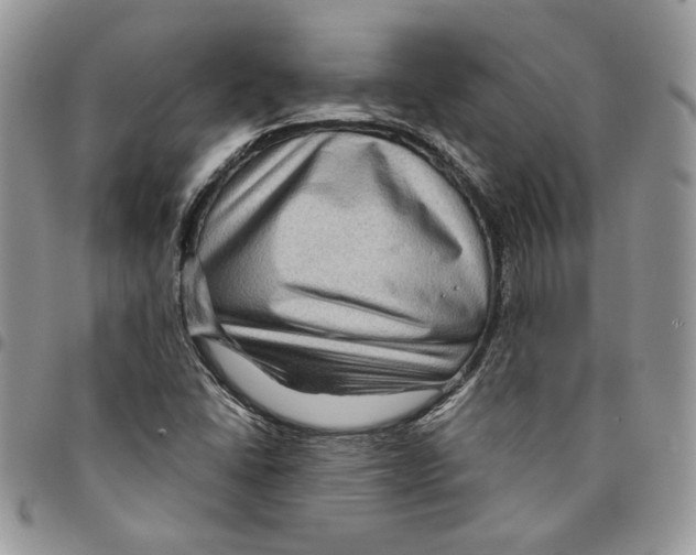 X0000094951406200712271647