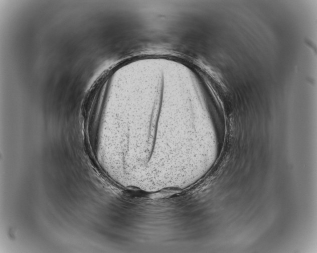 X0000094951408200712271647