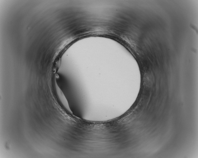 X0000094951410200712271647