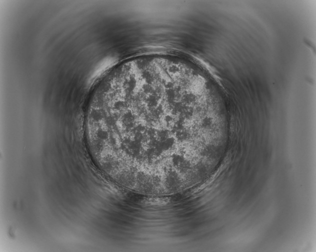 X0000094951411200712271647