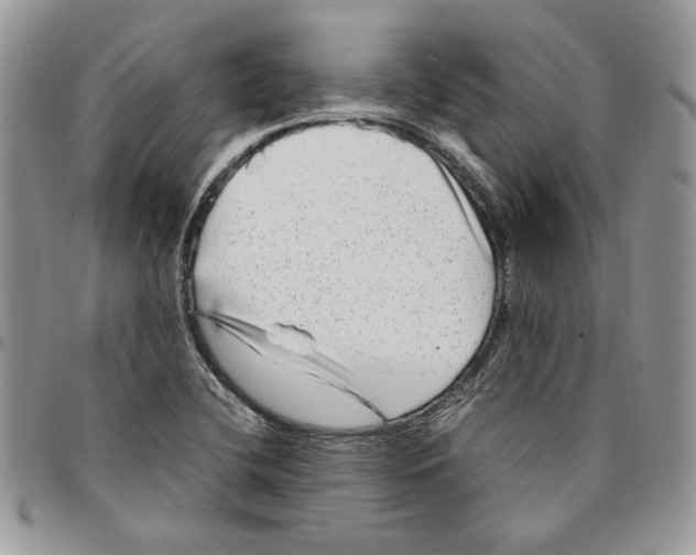 X0000094951412200712271647