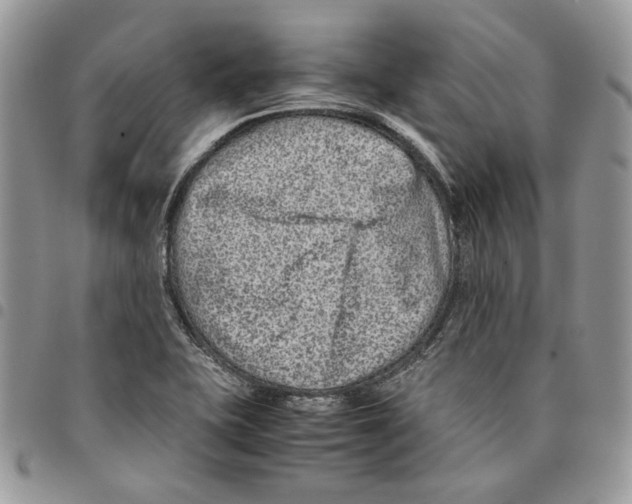 X0000094951415200712271648