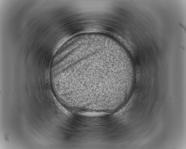 X0000094951417200712271648