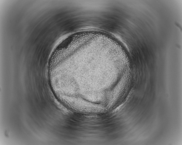 X0000094951421200712271648