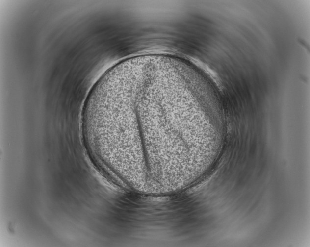 X0000094951423200712271648