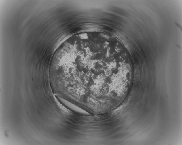 X0000094951425200712271648